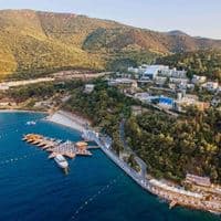 Informații generale preview
