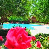 Piscine preview