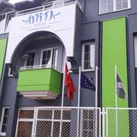 Informații generale preview