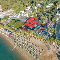 Informații generale preview