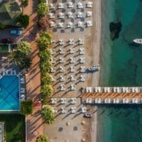 Informații generale preview