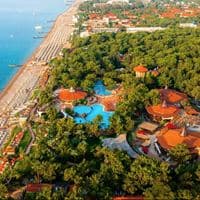 Informații generale preview
