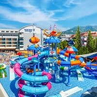 Informații generale preview