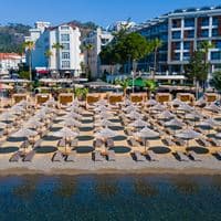 Informații generale preview