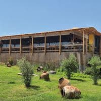 Restaurante preview