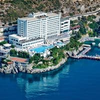Informații generale preview