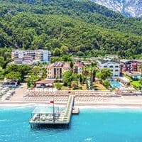 Informații generale preview