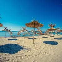 Plajă preview