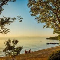 Plajă preview