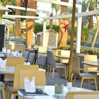 Restaurante preview