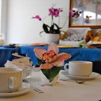 Restaurante preview