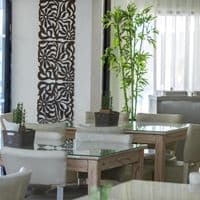 Restaurante preview