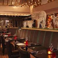 Restaurante preview