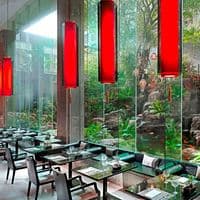 Restaurante preview