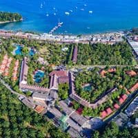 Informații generale preview