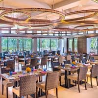 Restaurante preview