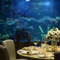 Restaurante preview