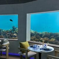 Restaurante preview