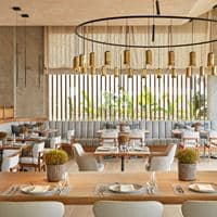 Restaurante preview
