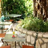 Restaurante preview