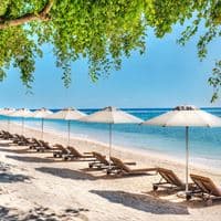 Plajă preview