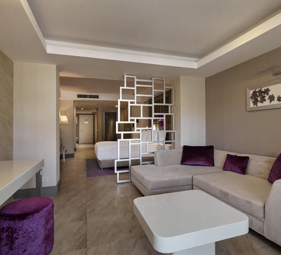 Deluxe Room Mountain View Camerele
