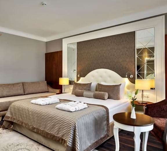 EFES STANDART PROMO/ ECO ROOM Camerele