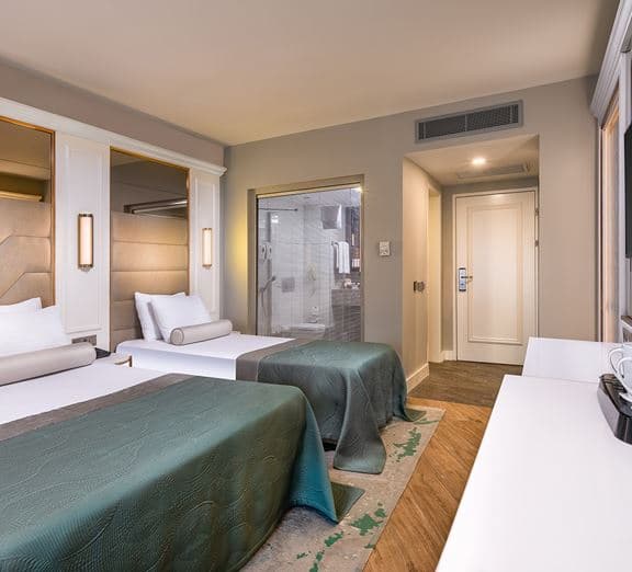 DELUXE ROOM LAND VIEW Camerele