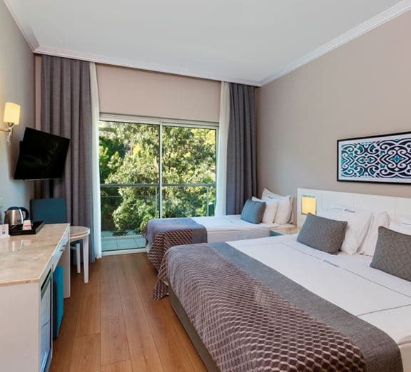 STANDARD LAND VIEW ROOM Camerele