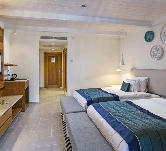 STANDARD ROOM LAND VIEW WITH BALCONY Camerele