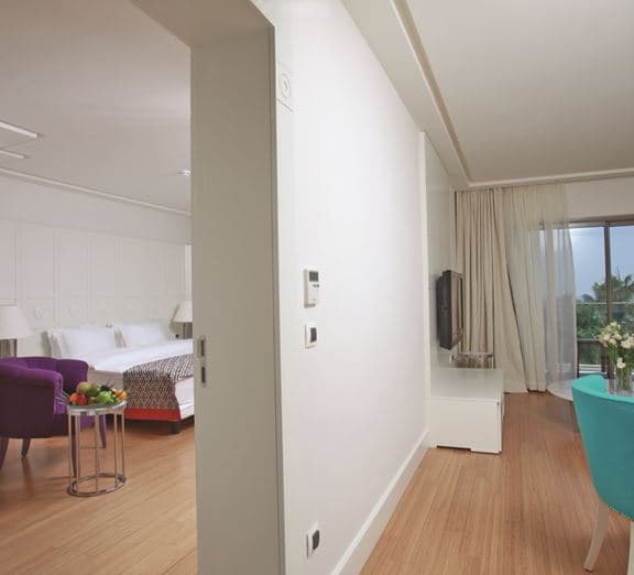 PALM SUITES 1+1 Camerele
