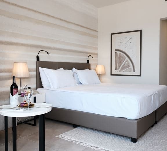 Standart Room Land View Camerele