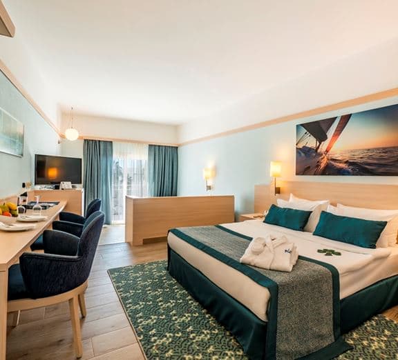 Large Room Camerele