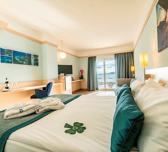 Standart Room Land View Camerele