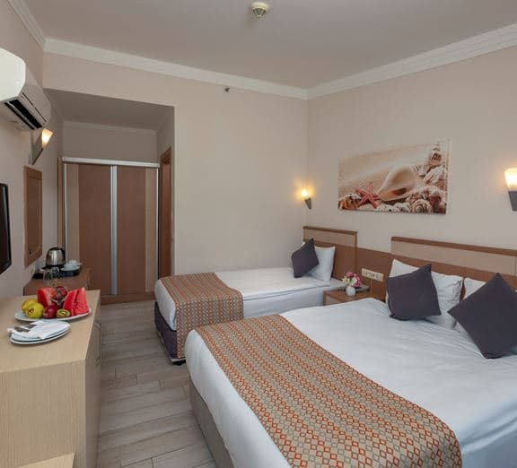 ECONOMY ROOM Camerele