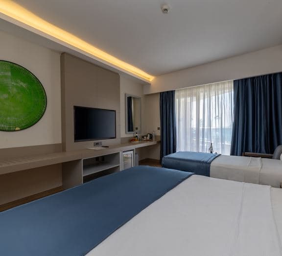 STANDARD ROOM LAND VIEW Camerele