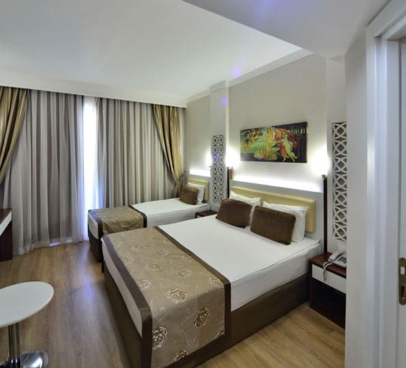 STANDARD ROOM WITH BALCONY Camerele