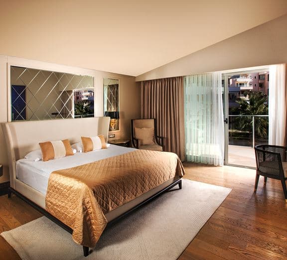SUPERIOR ROOM LANDVIEW BALCONY Camerele