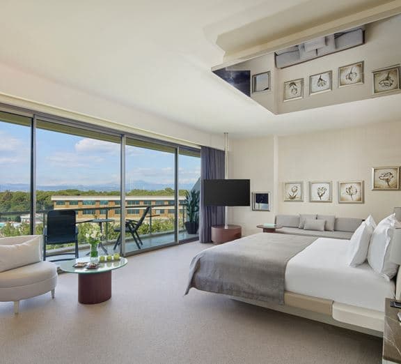 Suite Land View Camerele