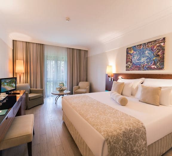 STANDARD ROOM Camerele