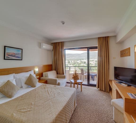 STANDARD ROOM LANDVIEW BALCONY Camerele