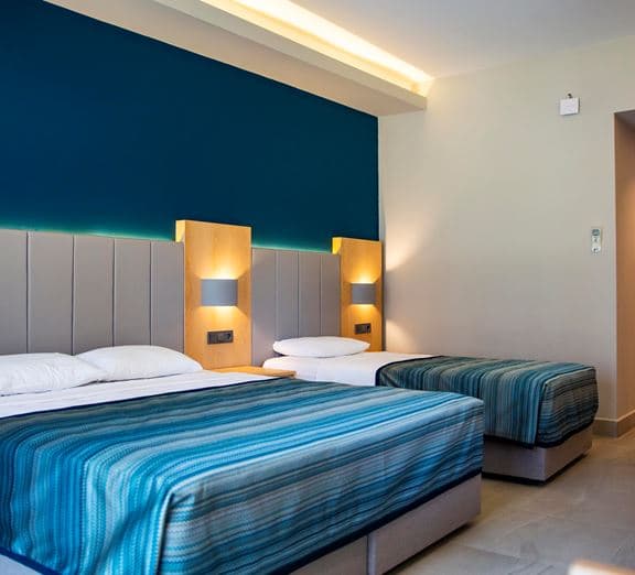 SUPERIOR ROOM LAND VIEW WITH BALCONY Camerele