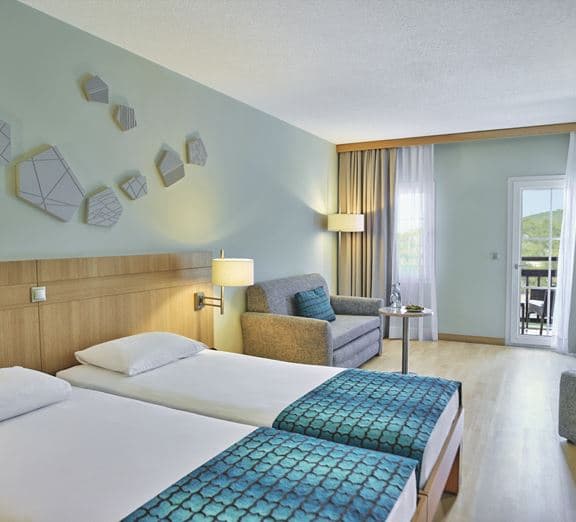 Superior Room in  Main Building Camerele