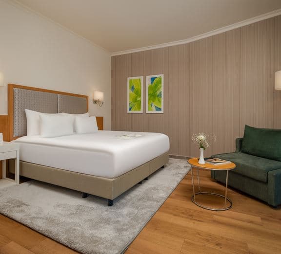Standard Garden View Room Camerele