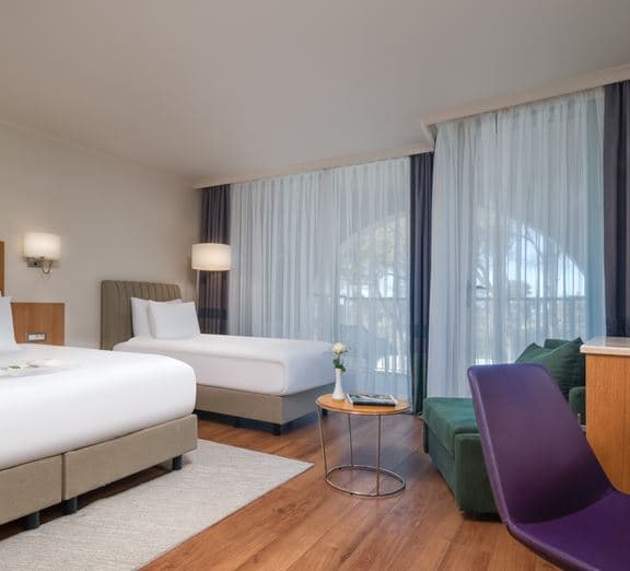 Standard Large Garden View Room Camerele