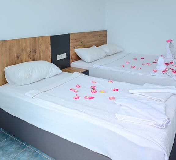STANDARD ROOM Camerele