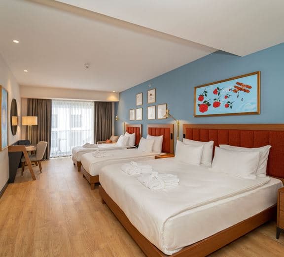 DELUXE LARGE ROOM Camerele