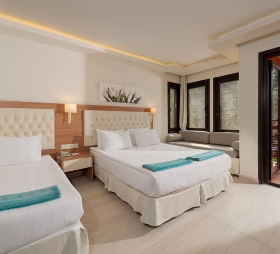 LARGE ROOM Camerele