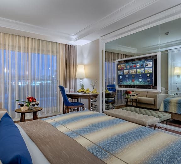 DELUXE BUILDING STANDARD ROOM Camerele