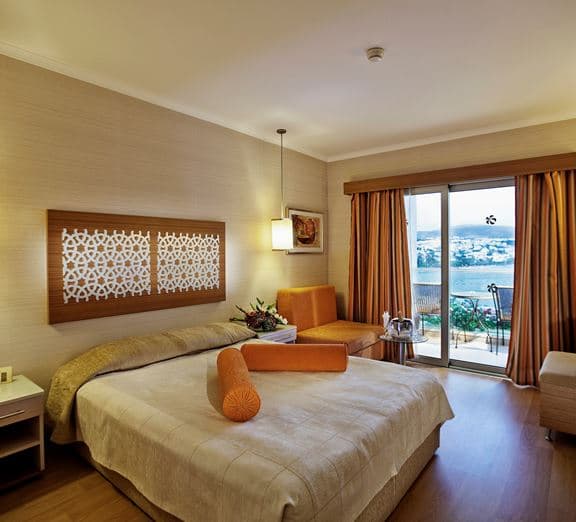 STANDARD ROOM LAND VIEW BALCONY OR TERRACE Camerele